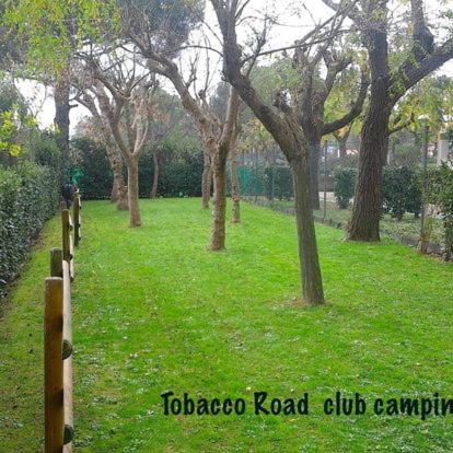 Tobacco Road * Sirolo